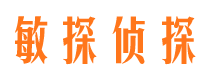 怒江市私家侦探公司